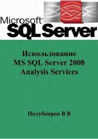 Использование MS SQL Server 2008 Analysis Services. Автор - Полубояров В. В. Скачать бесплатно.